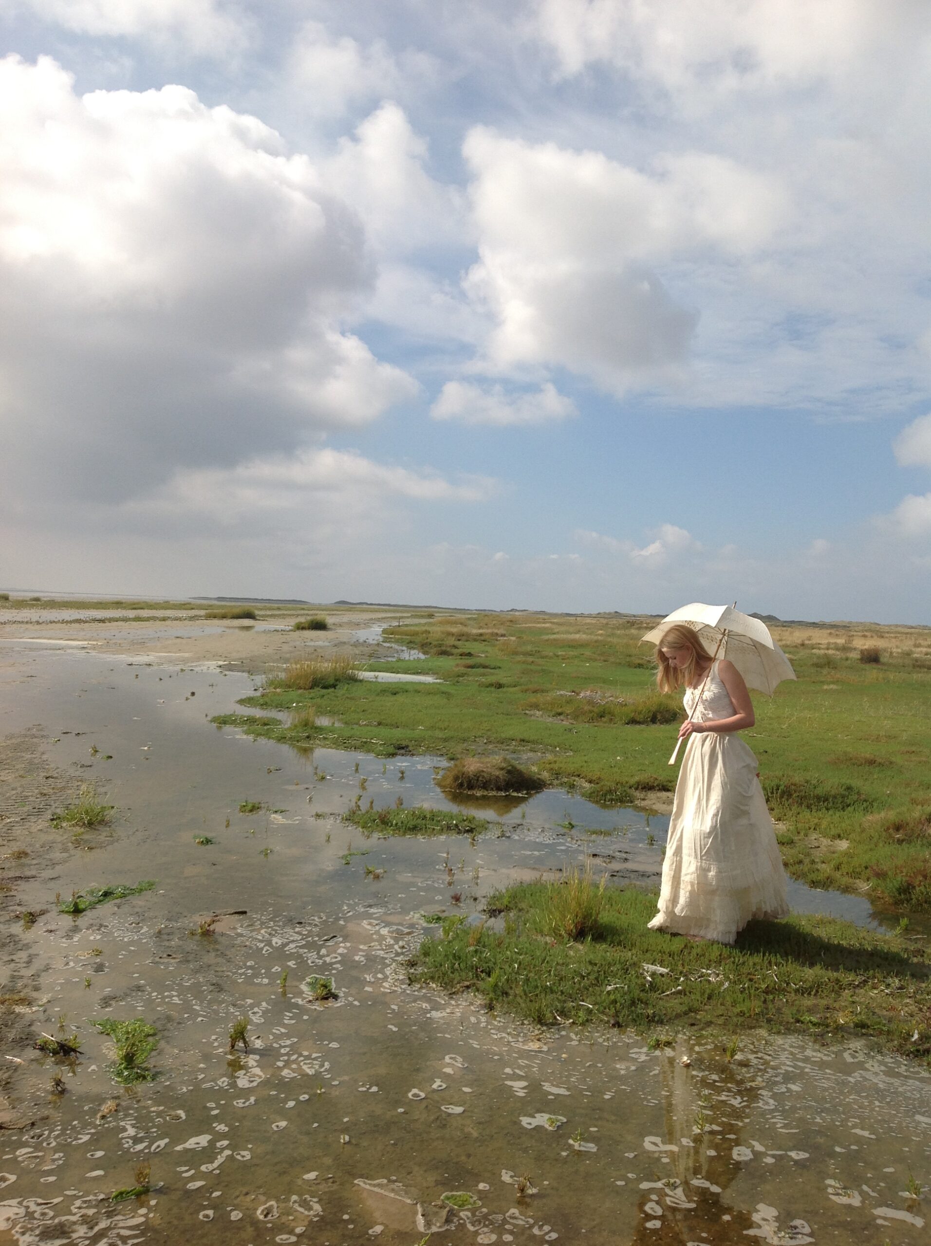 Glorious Antique Wedding Skirt with Butterfly Lace - Image 7