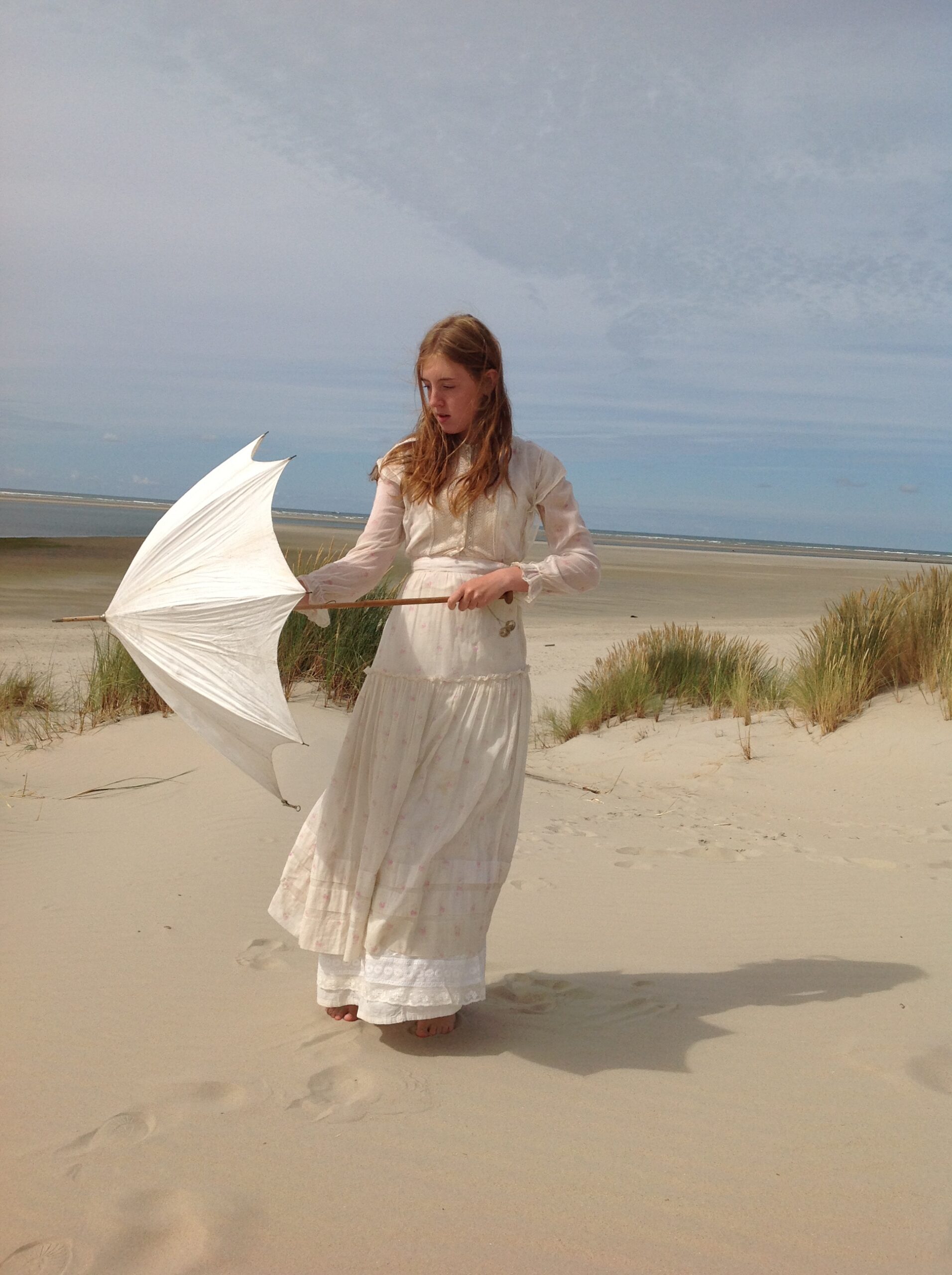 Sheer Cotton Roses Print Summer Dress